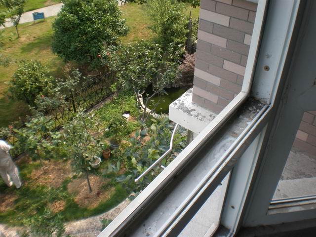 调整大小 P6160499.JPG