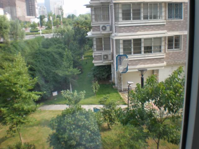 调整大小 P6160509.JPG