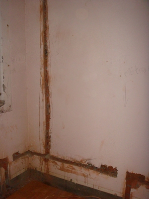 DSC03784.jpg