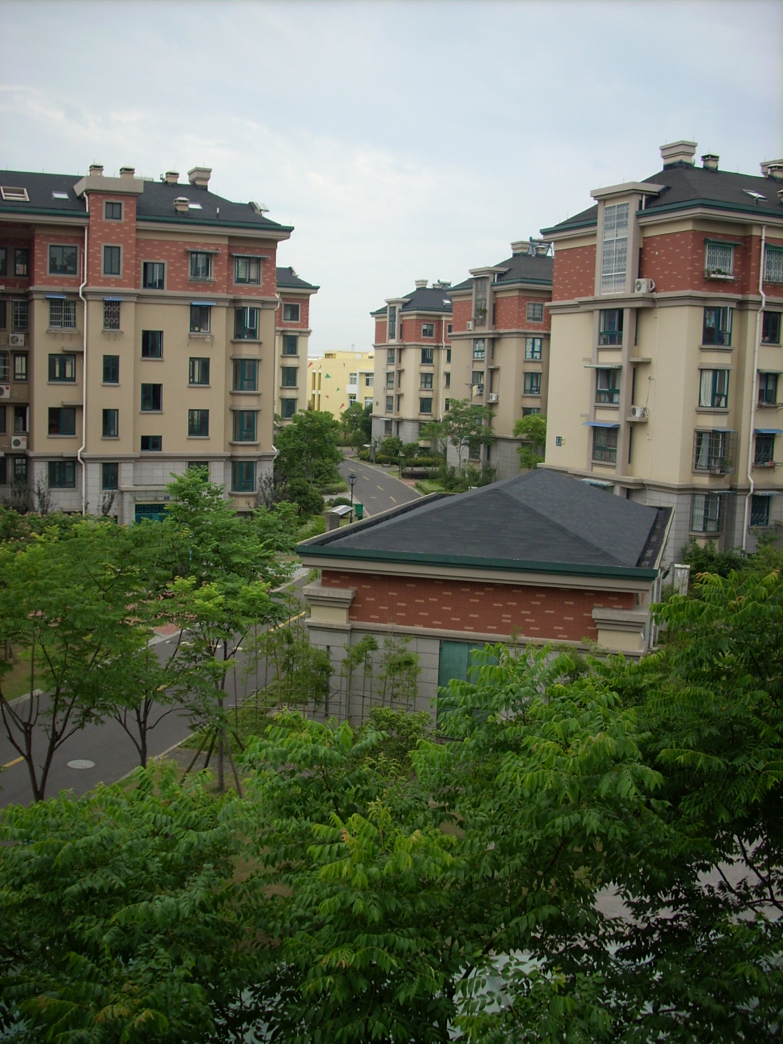 DSCN2450.JPG