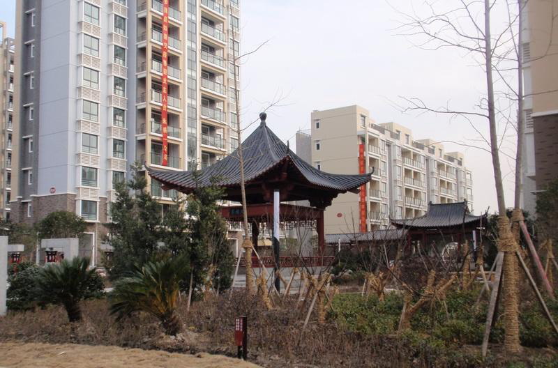 04.jpg