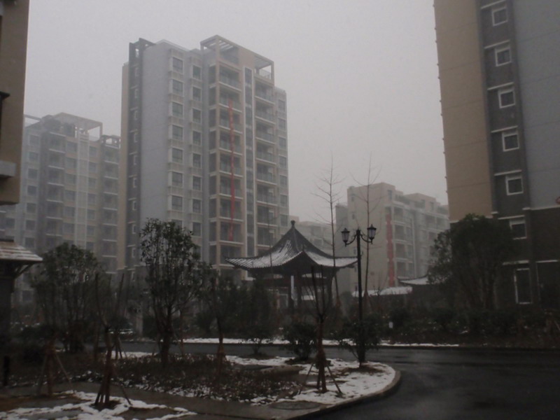 02.jpg