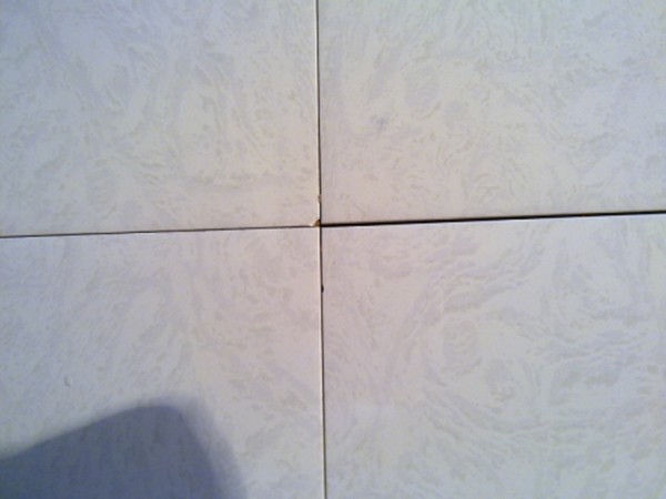 20090713930.jpg