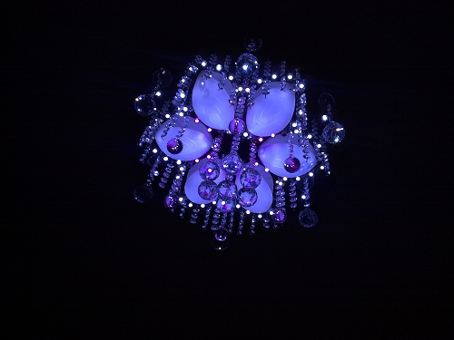 200908011191.jpg