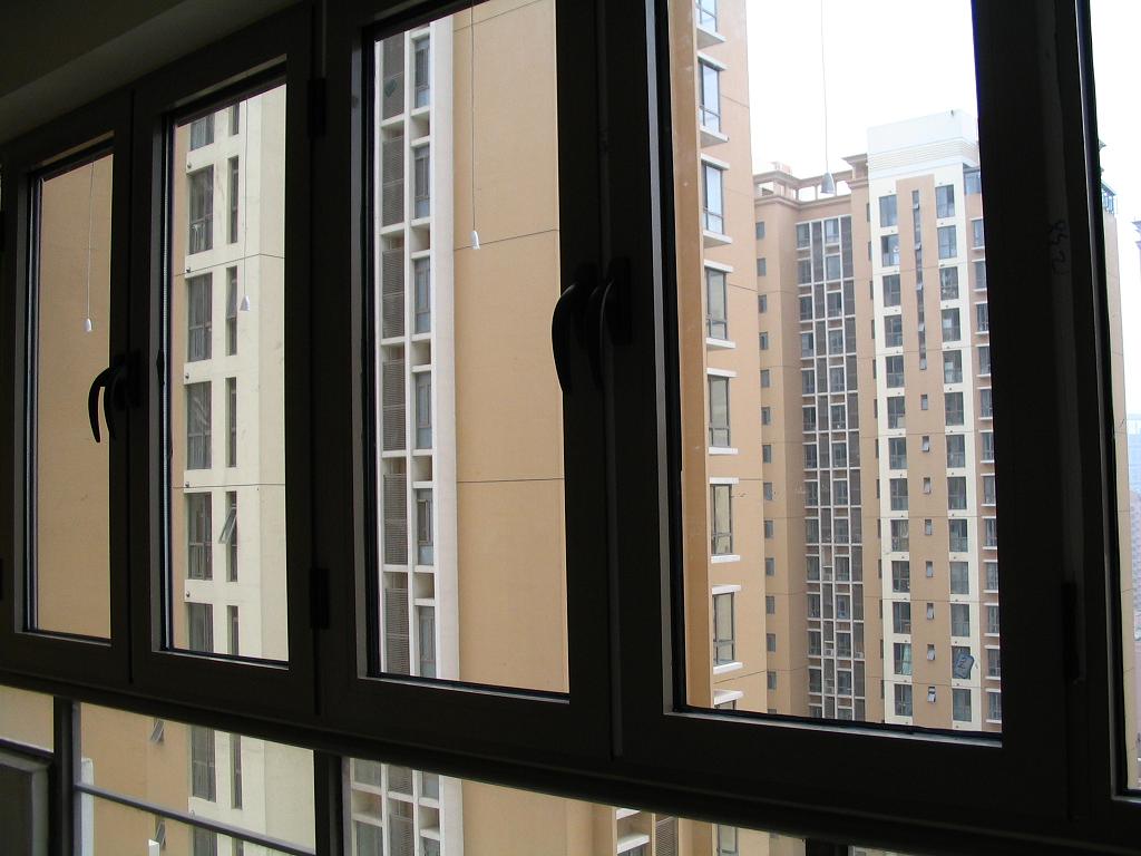 IMG_60851.JPG