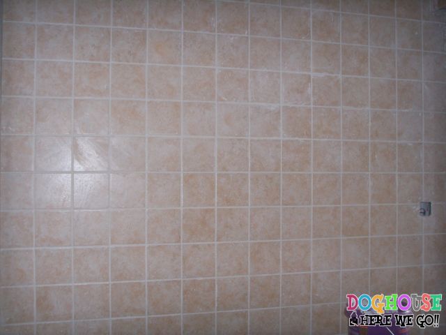 SSL10451.JPG
