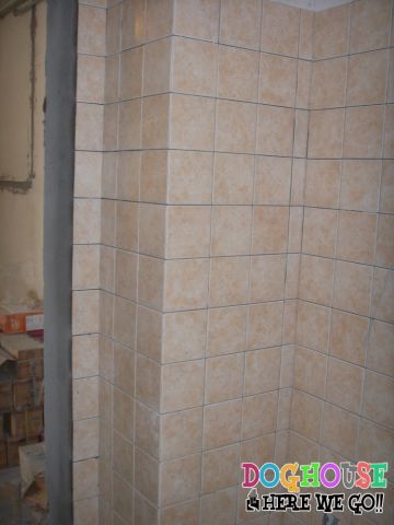 SSL10457.JPG