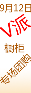 V派专场团购