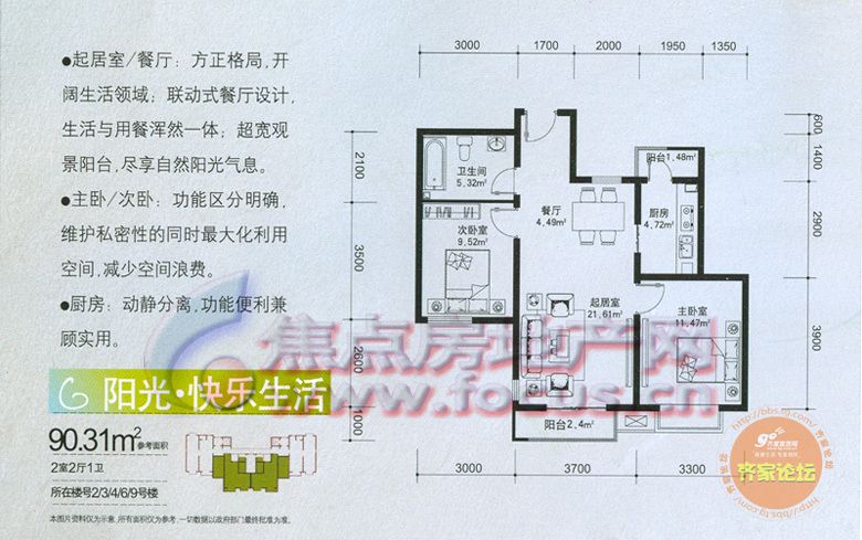 t14446.jpg